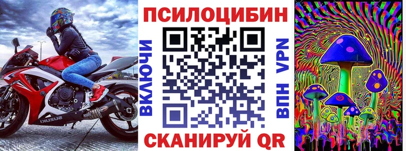 omg   цены   Ханты-Мансийск  Псилоцибиновые грибы Psilocybine cubensis 